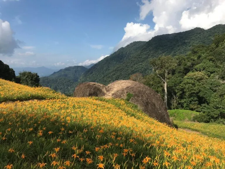 安全舒適，高品質卻不高價