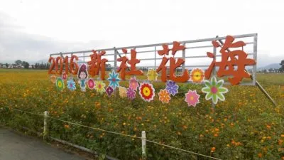花蓮台東包車旅遊－2016新社花海