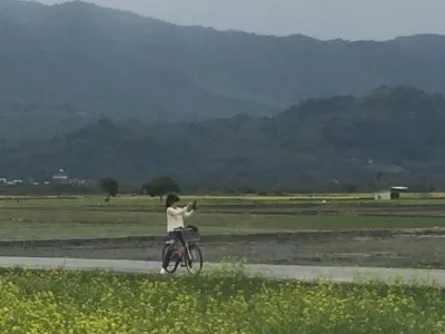 台東包車旅遊- 花蓮油菜花田