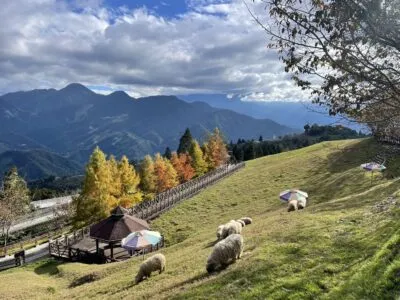 南投-清境農場