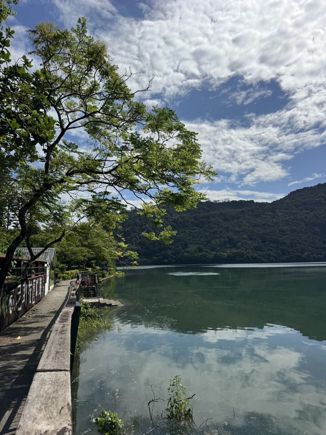 花蓮鯉魚潭