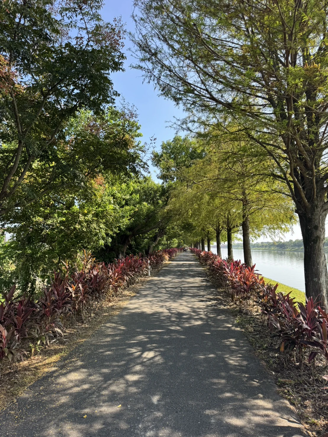 宜蘭冬山河包車旅遊｜悠閒親水之旅