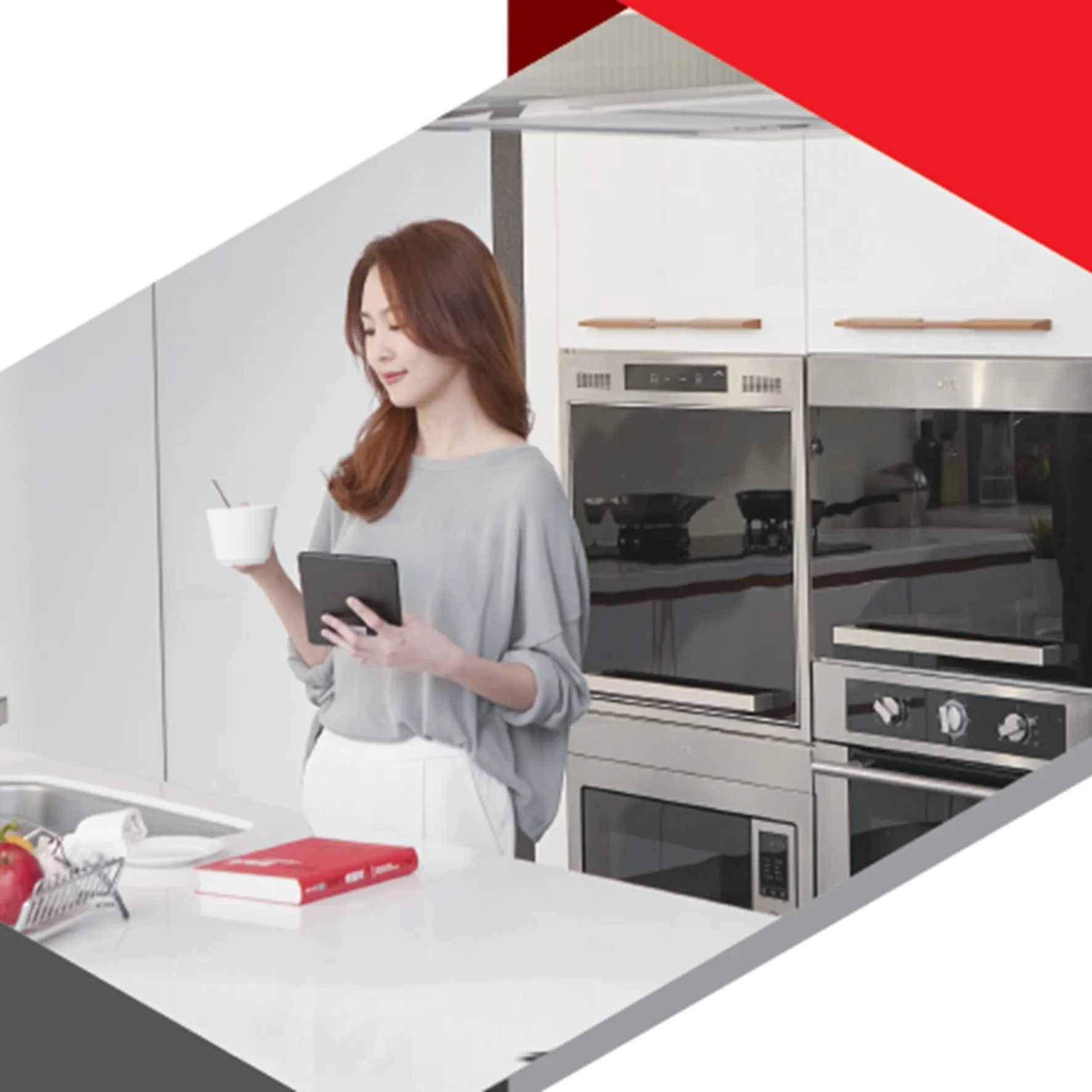 JT-1991M／L-斜背式排油煙機