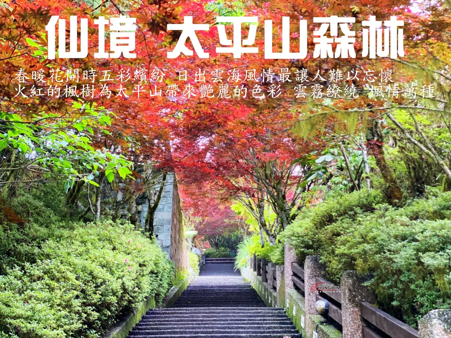人間仙境 太平山二日