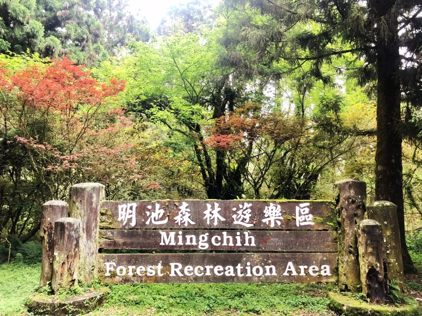 北橫之旅 明池森林 拉拉山水蜜桃二日