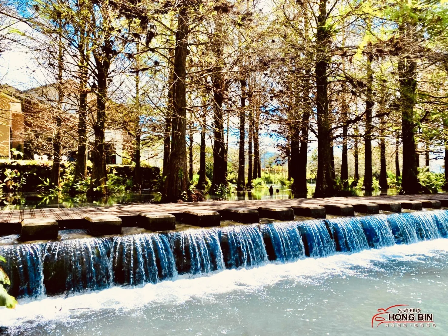 [宜蘭]  三層坪落羽松 動植物王國 熱門一日遊