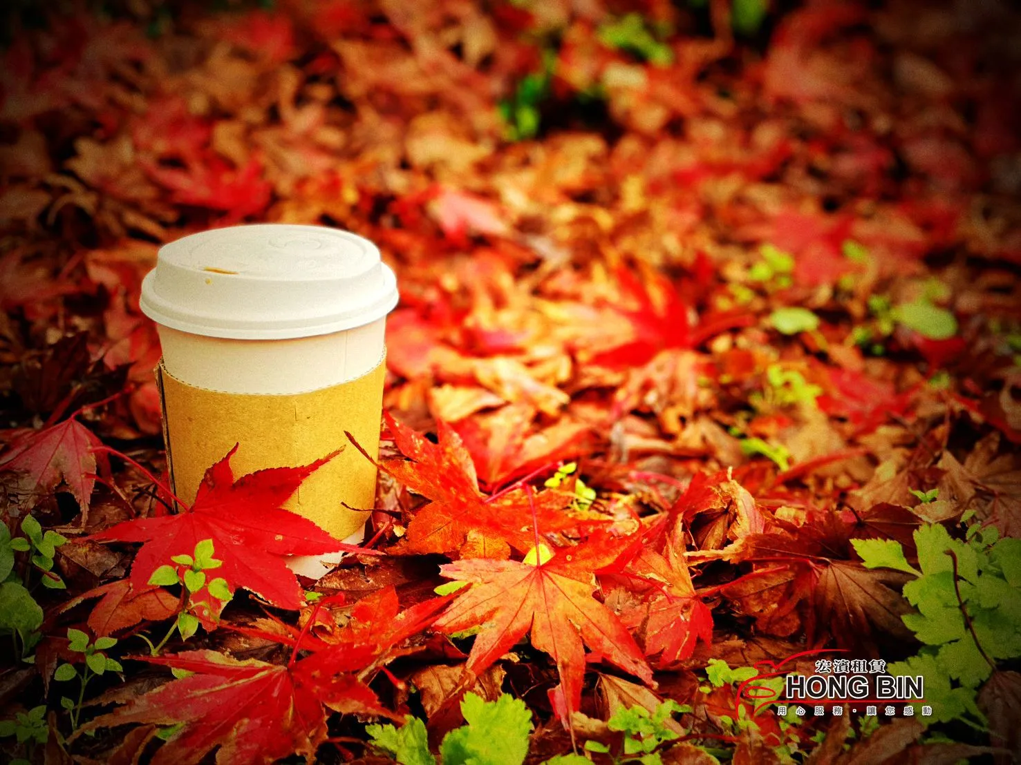 雲霧繚繞~漫步太平山國家森林公園
