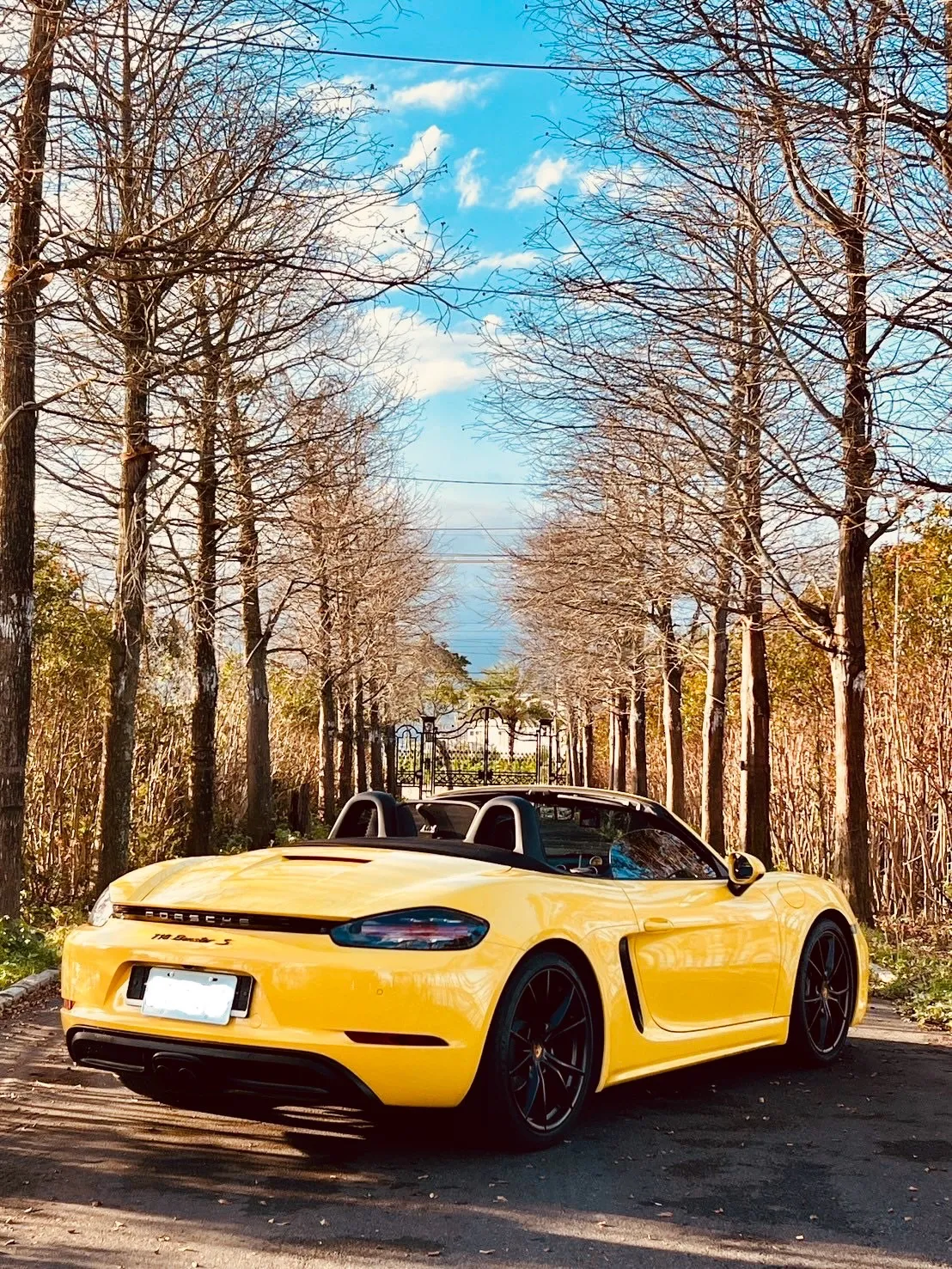 PORSCHE 718 boxster保時捷敞篷跑車+最新款W223賓士S350L加長型