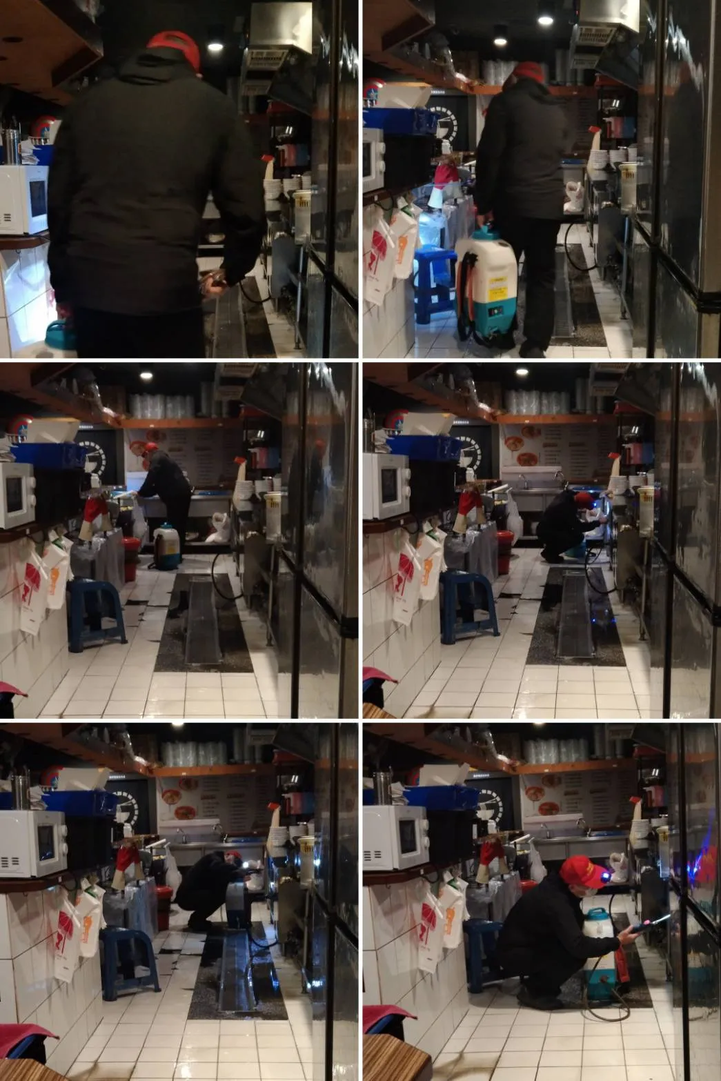 店面消毒除蟲｜桃園除蟲推薦｜三峽除蟲