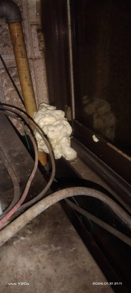 桃園青埔店家~鼠害防治