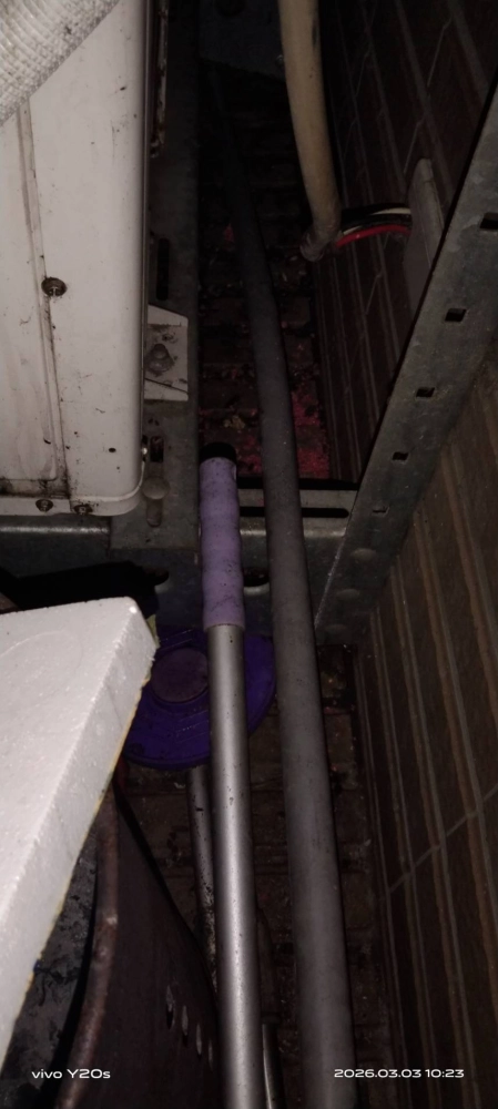 三峡北大社區→鼠害防治