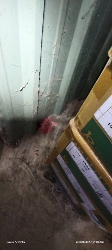 大溪公司定期鼠害防治