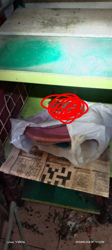 新竹住家~鼠害防治