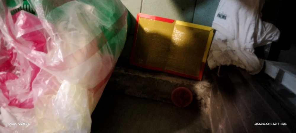 桃園市青埔特區→住家鼠害防治