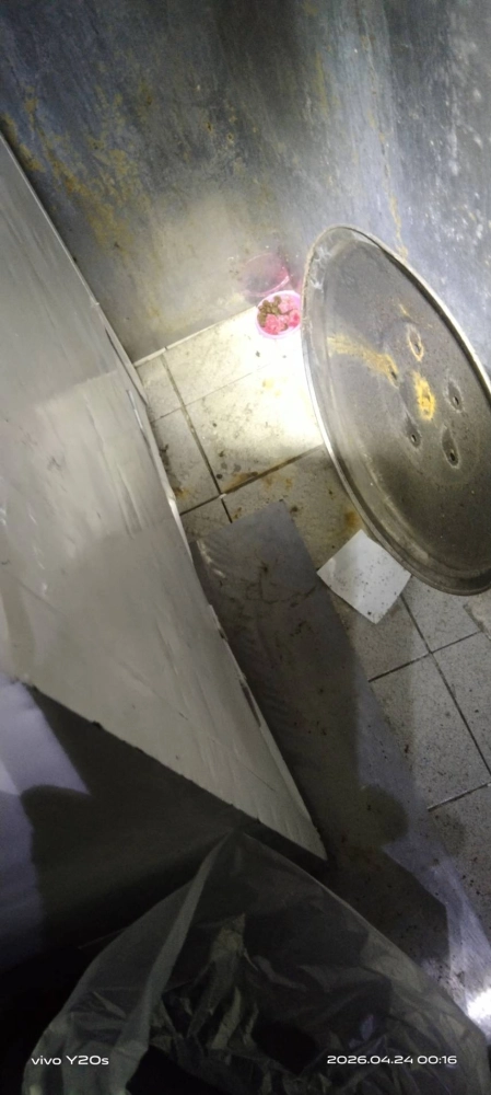 觀音草漯店家鼠害防治
