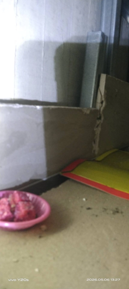 蘆竹區店家→鼠害防治