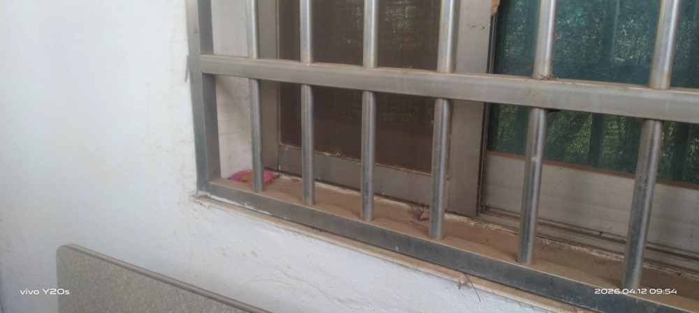 桃園市青埔特區→住家鼠害防治