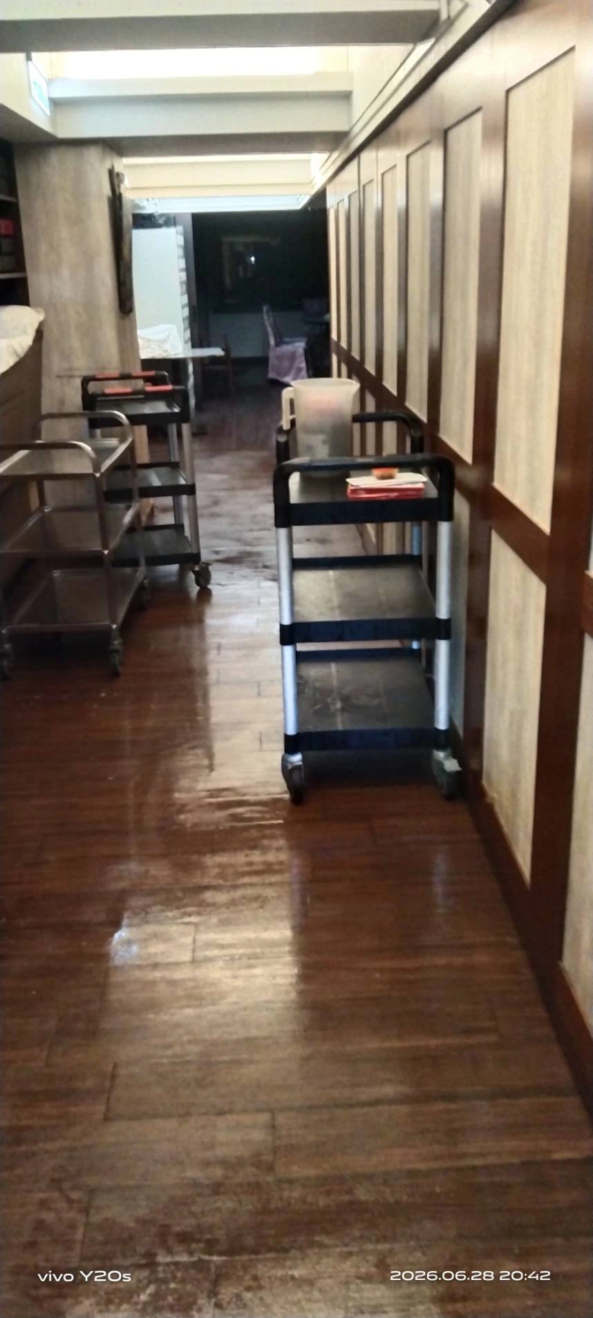 台北市餐廳定期消毒除蟲