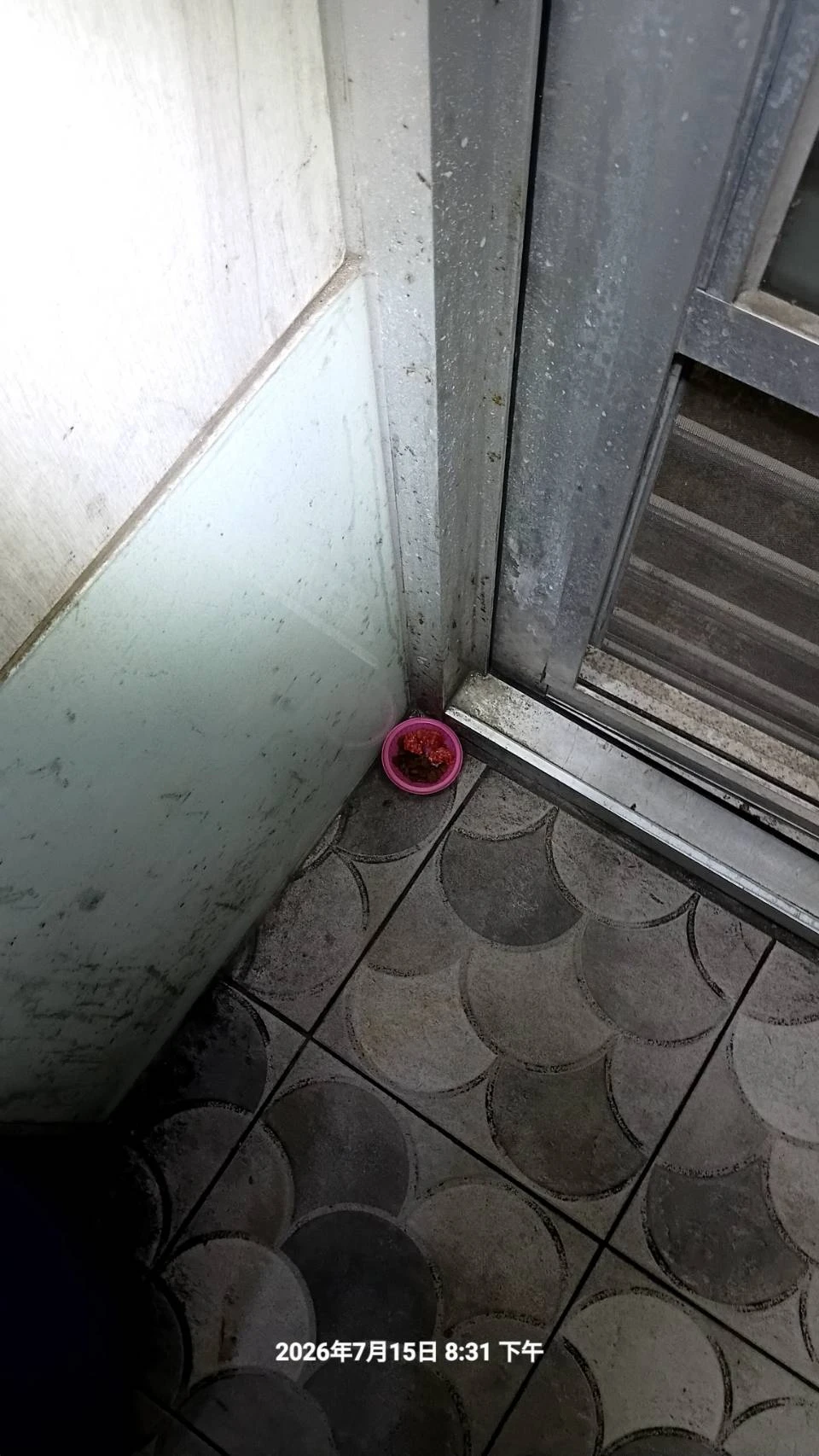 平鎮區店家鼠害防治