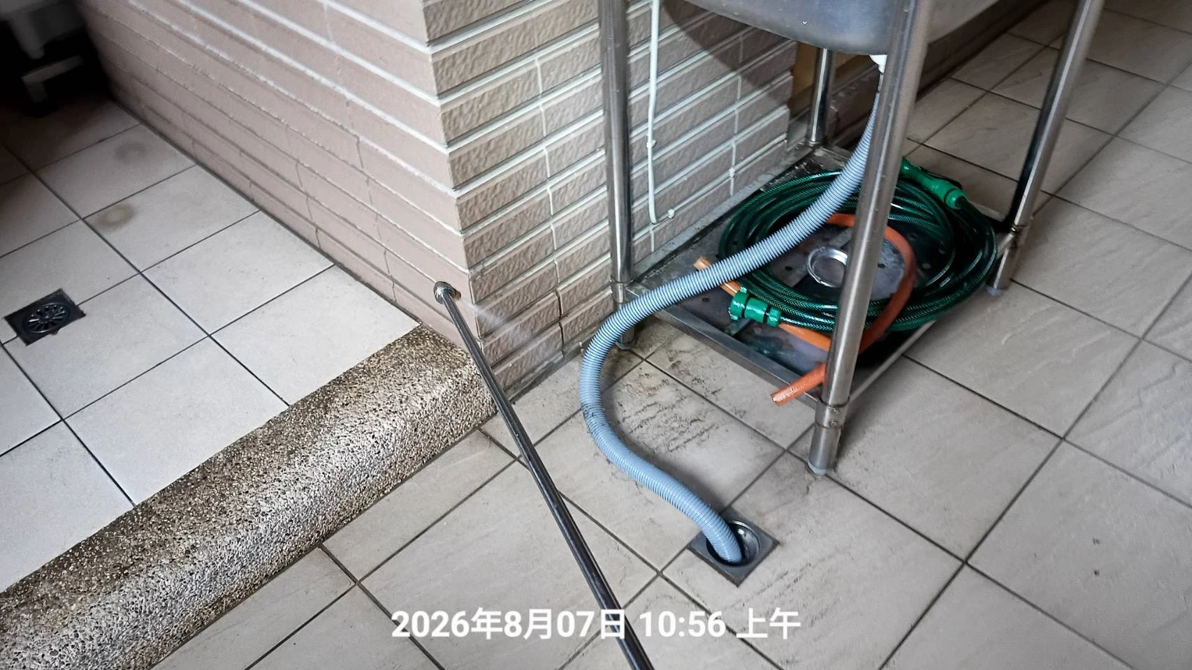 三峽區住家除蟲