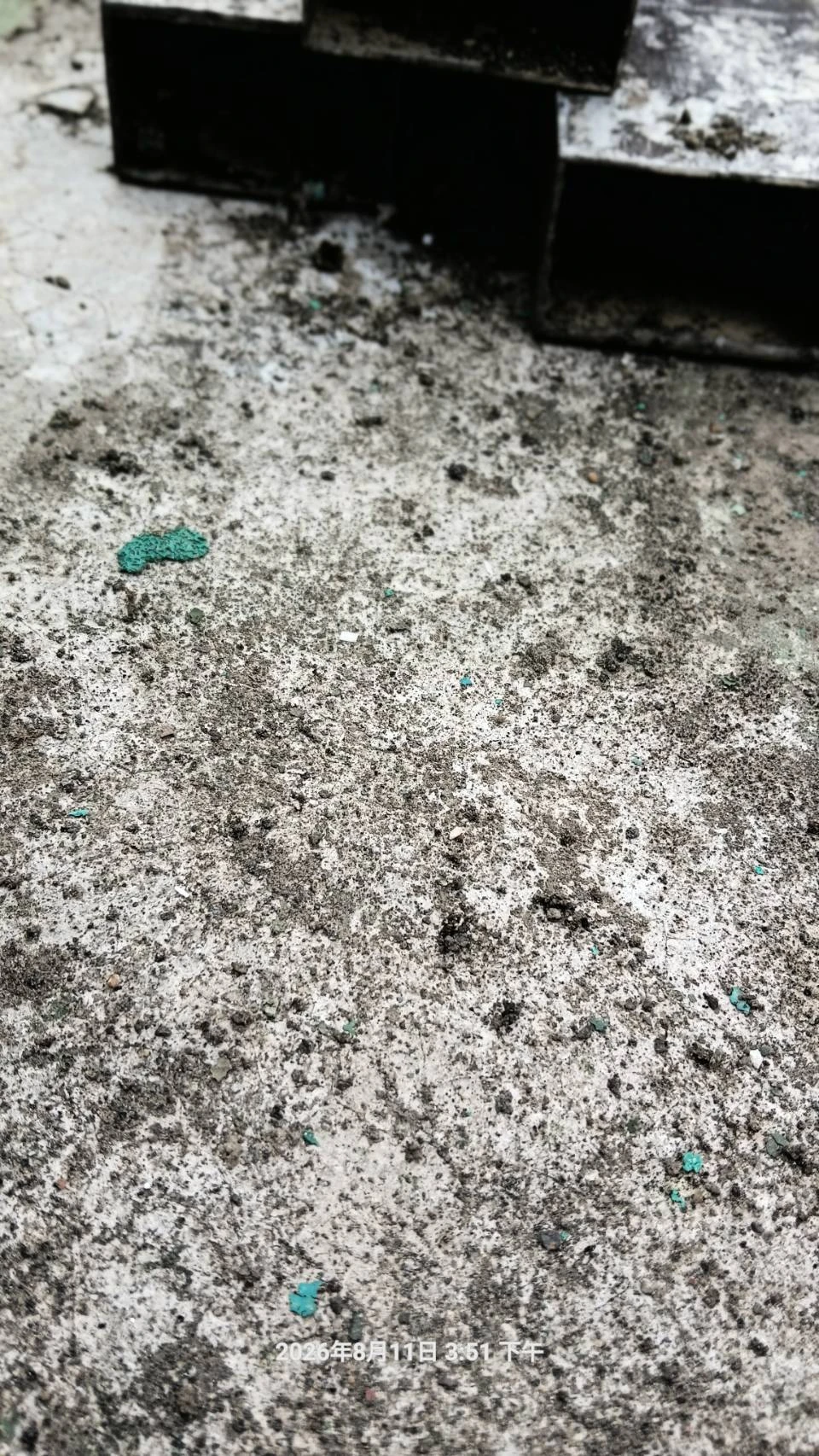 青埔住家定期鼠防