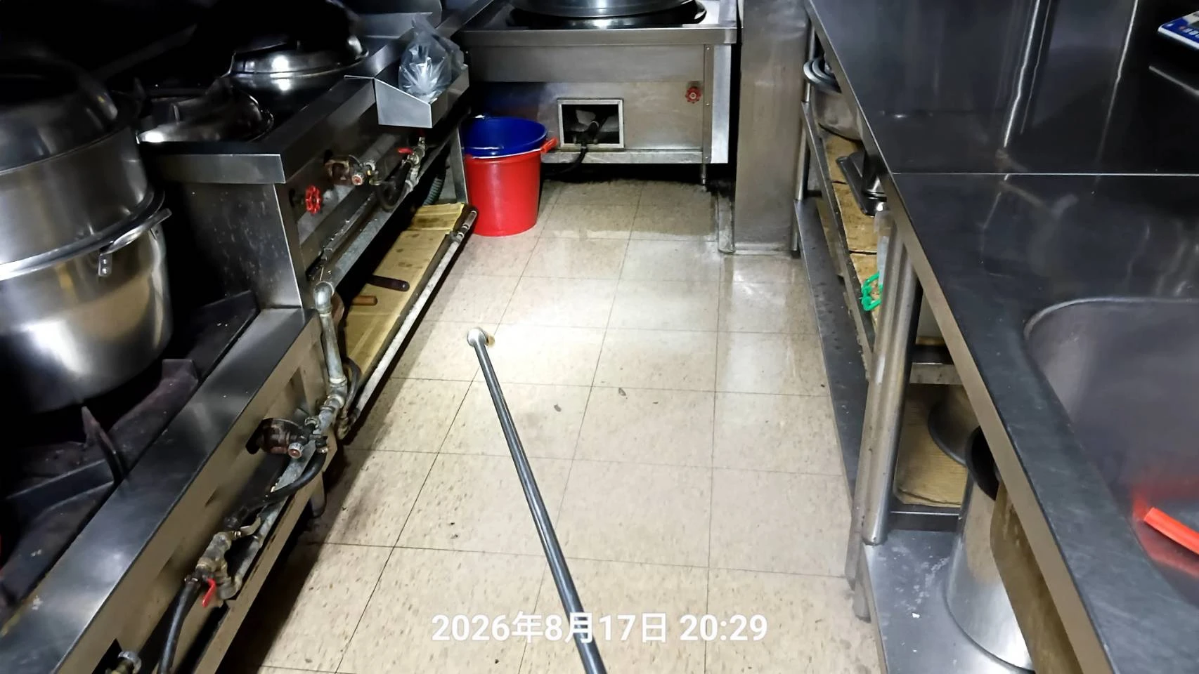 平鎮區店家蟲鼠防治