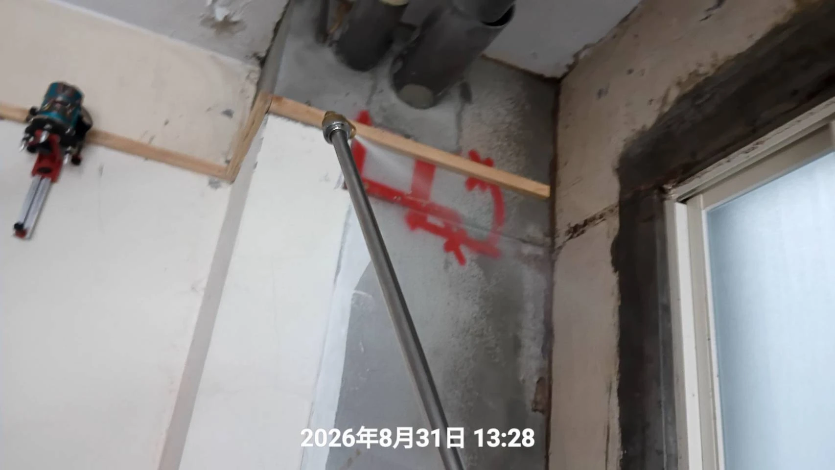 桃園區裝修屋白蟻防治