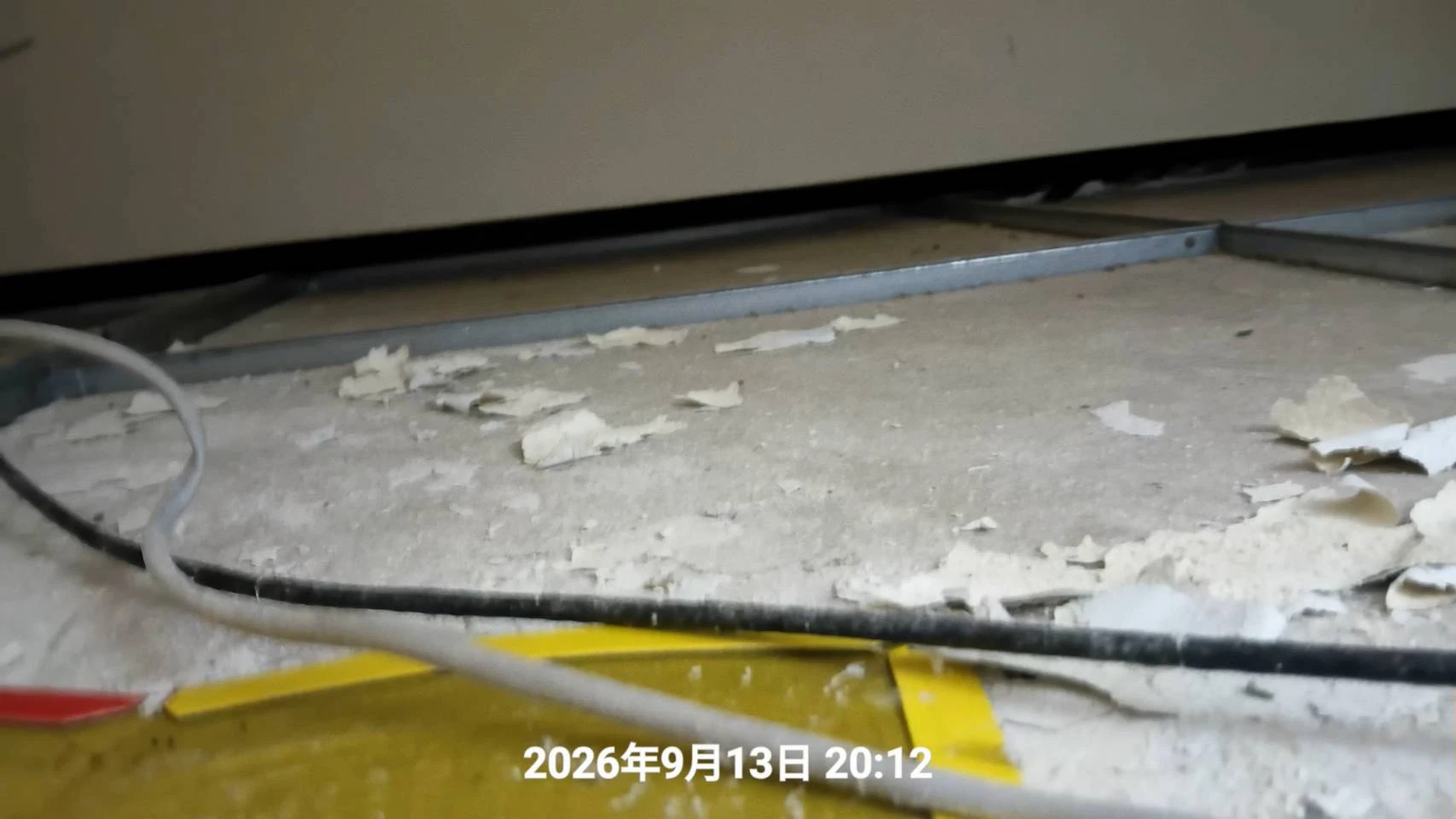 平鎮區店家蟲鼠定期防治