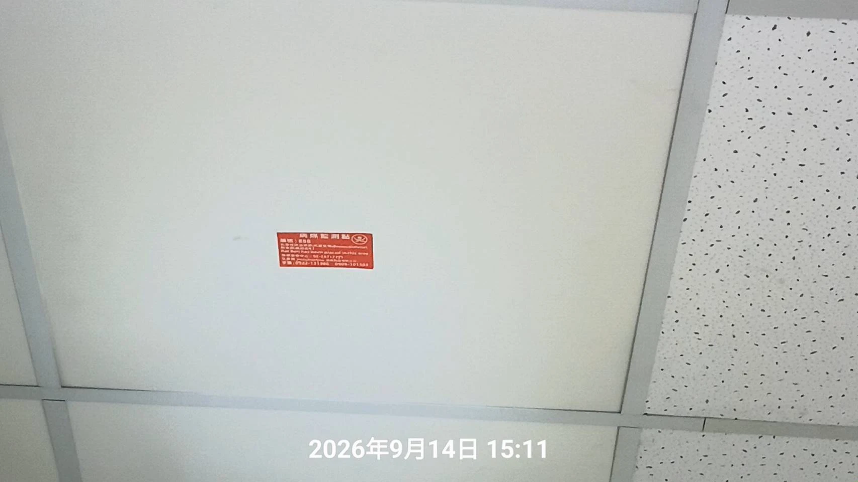 大溪區門市商家鼠害防治