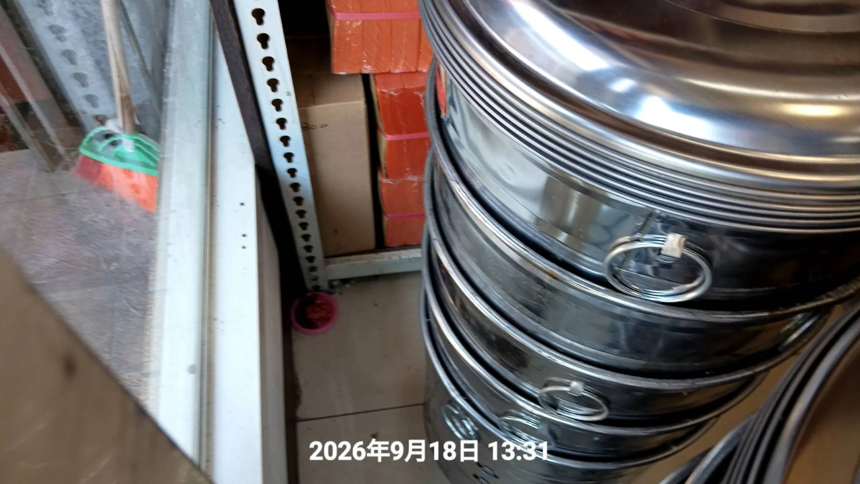 新竹店家鼠害防冶