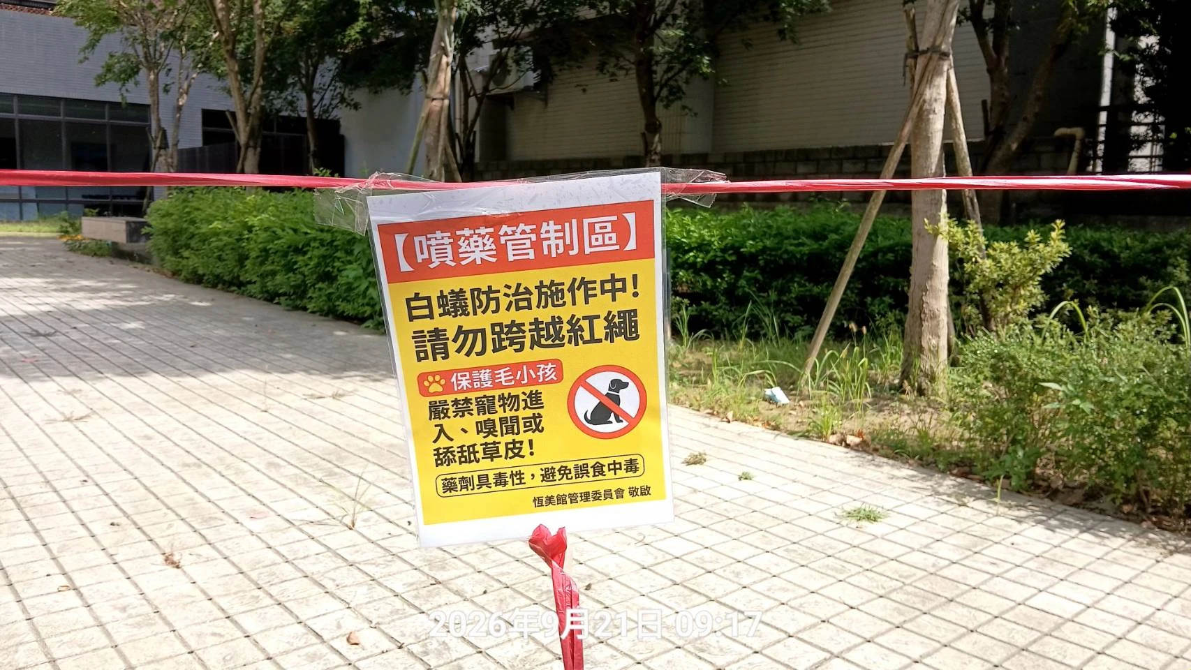 桃園青埔社區白蟻防治
