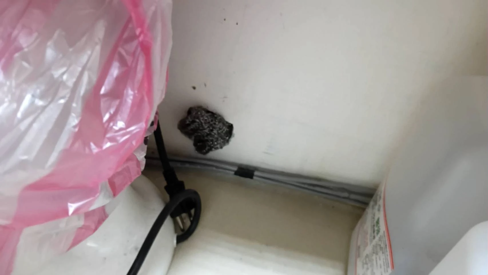 大溪門市鼠害防治