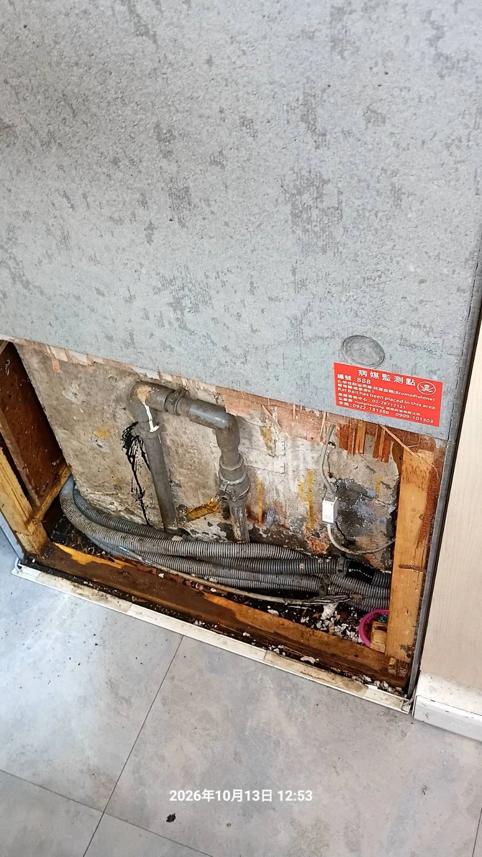 台北大安區店家鼠害防治