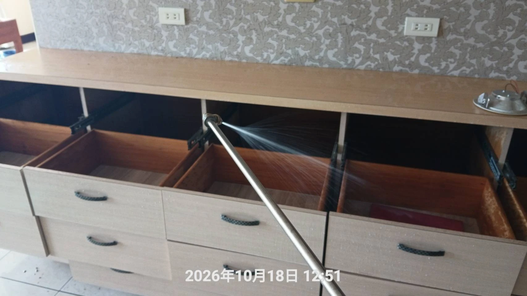 桃園區退租除蟲施工