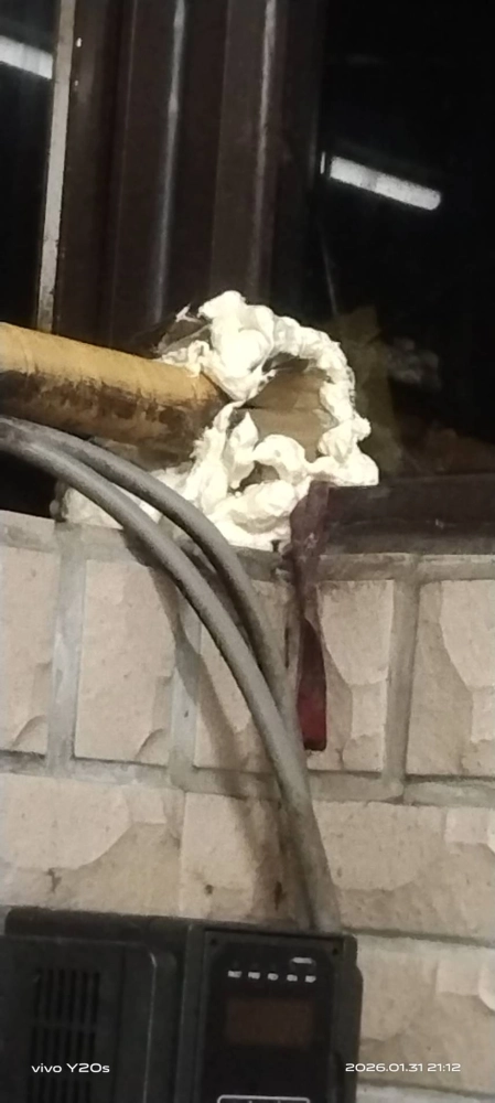 桃園青埔店家~鼠害防治