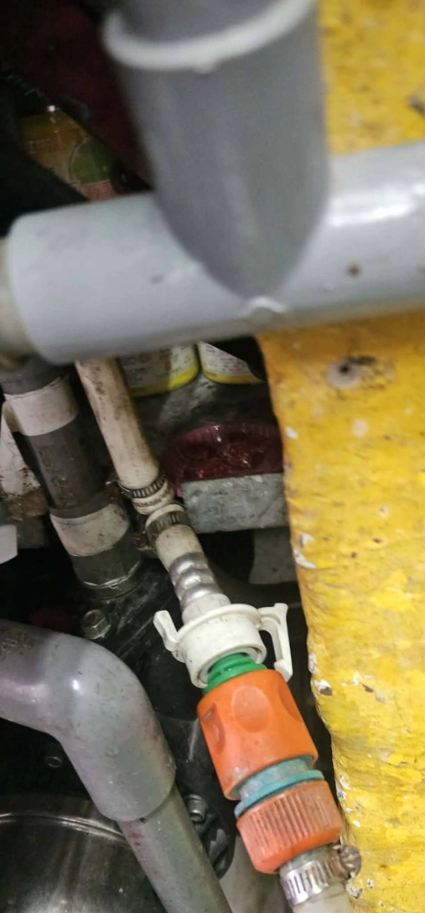 中壢店家鼠害防治