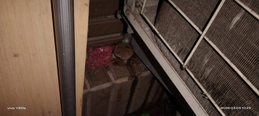 三峡北大社區→鼠害防治