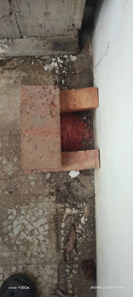 大園公司定期鼠害防治