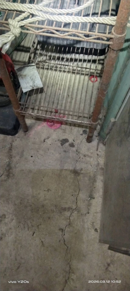 大溪公司定期鼠害防治