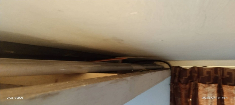 桃園市青埔特區→住家鼠害防治