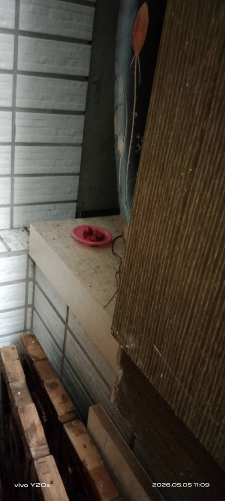 桃園區→辦公室鼠害防治