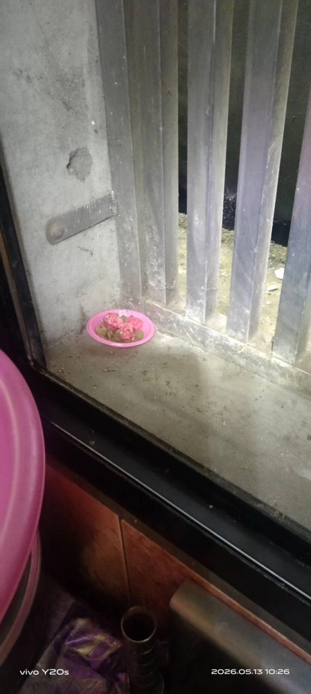 鶯歌區→鼠害防治