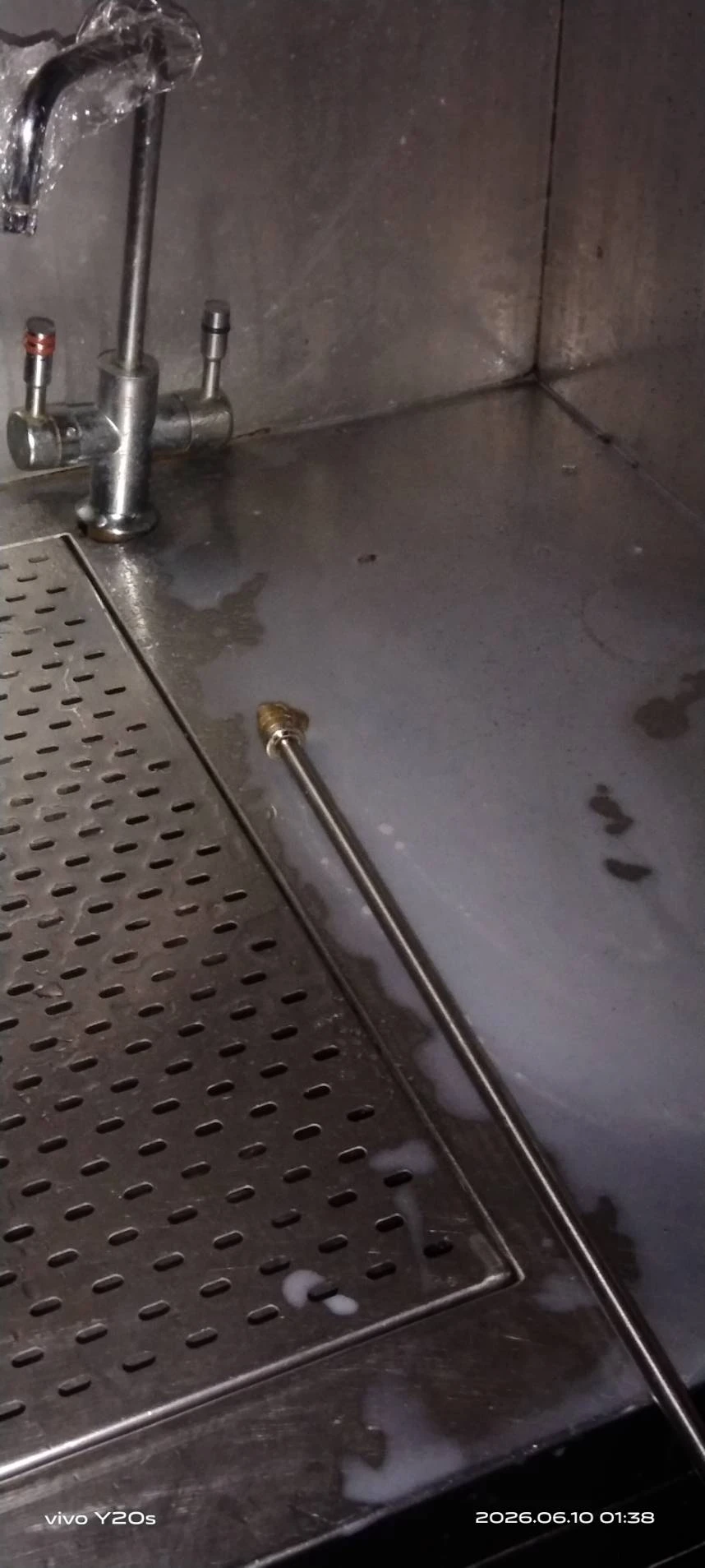 桃園藝文特區連鎖串燒店除蟲
