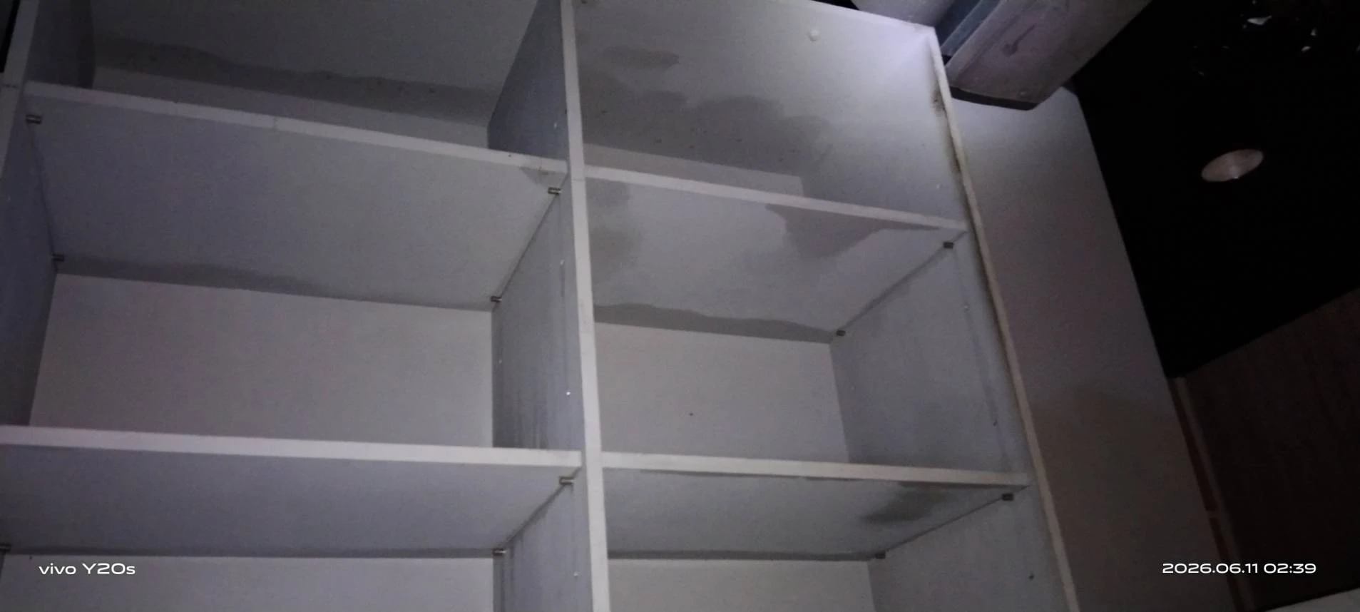 礁溪店家除蟑