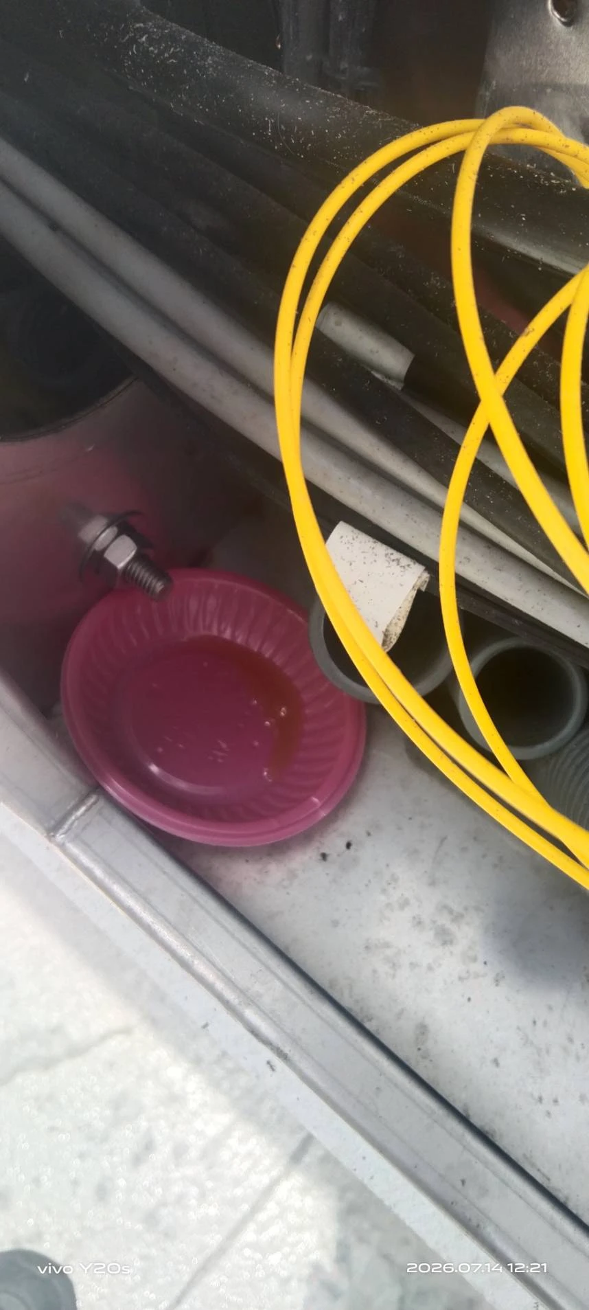 礁溪社區蟻害防治