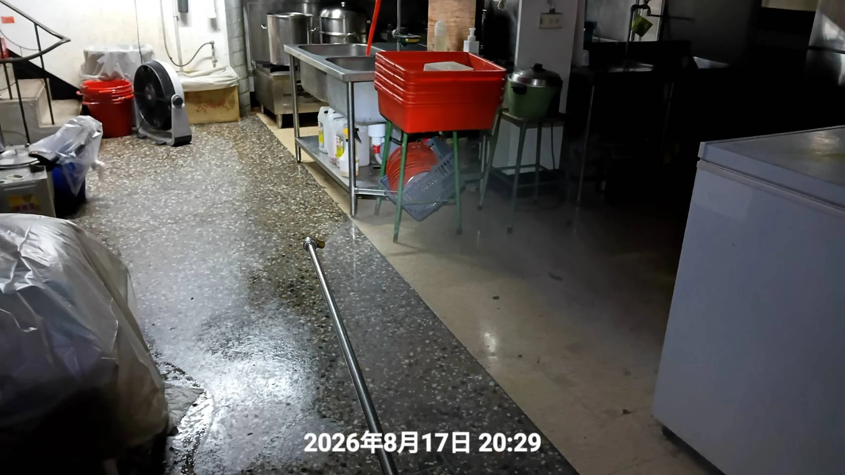 平鎮區店家蟲鼠防治