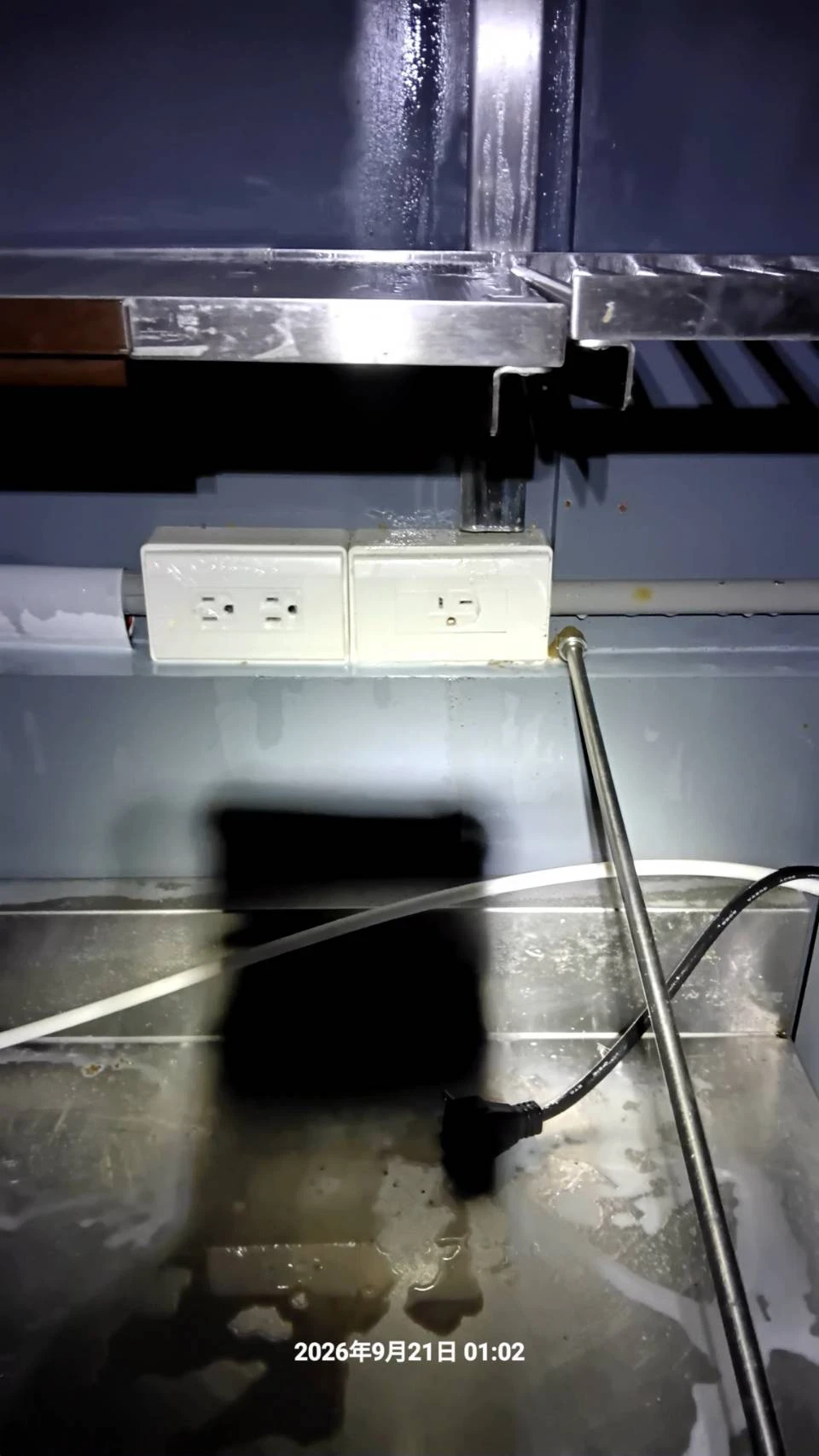 中壢店家定期除蟲