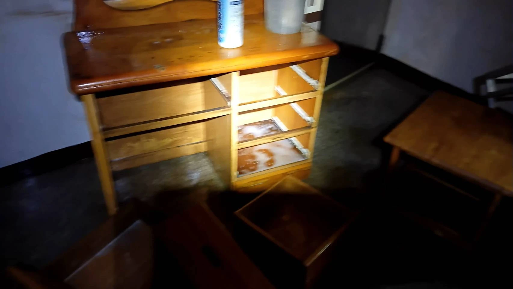 桃園區除蟲服務