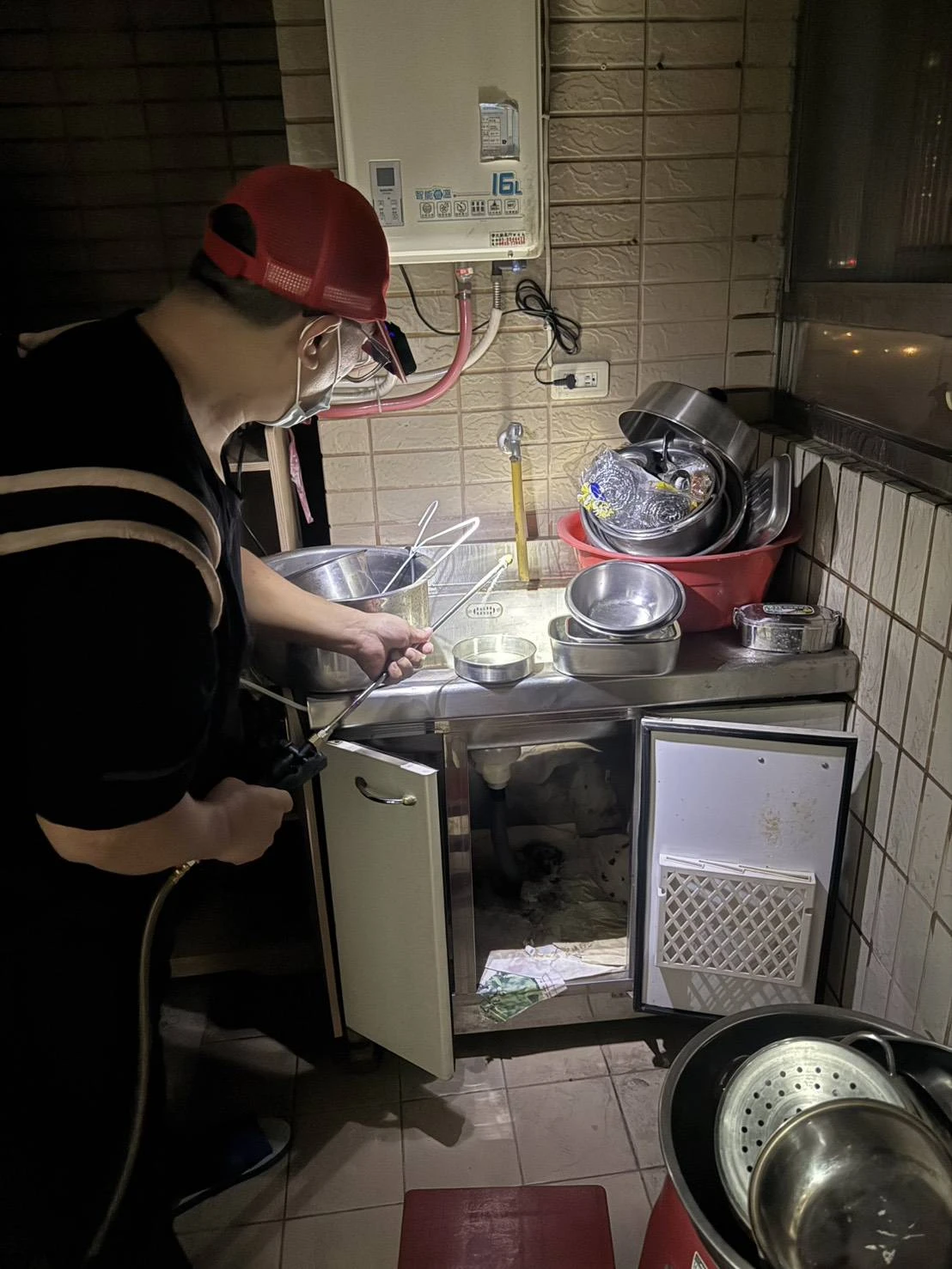 桃園區住家除蟲