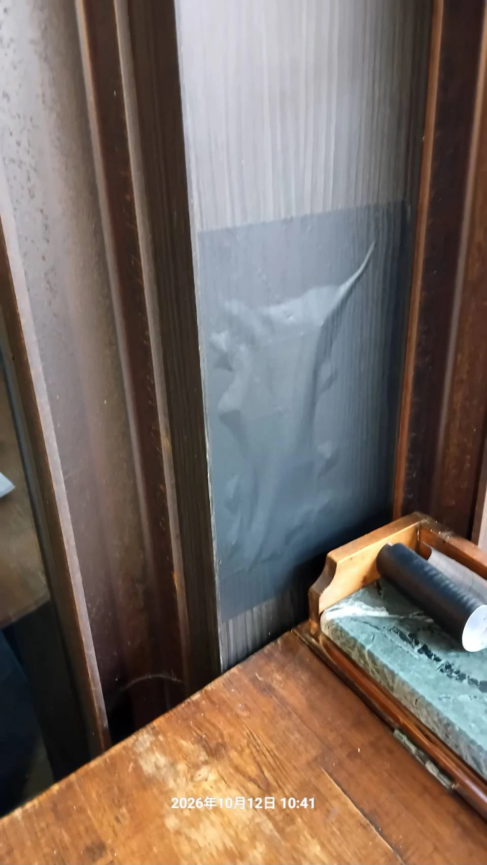 中壢公司鼠害防冶